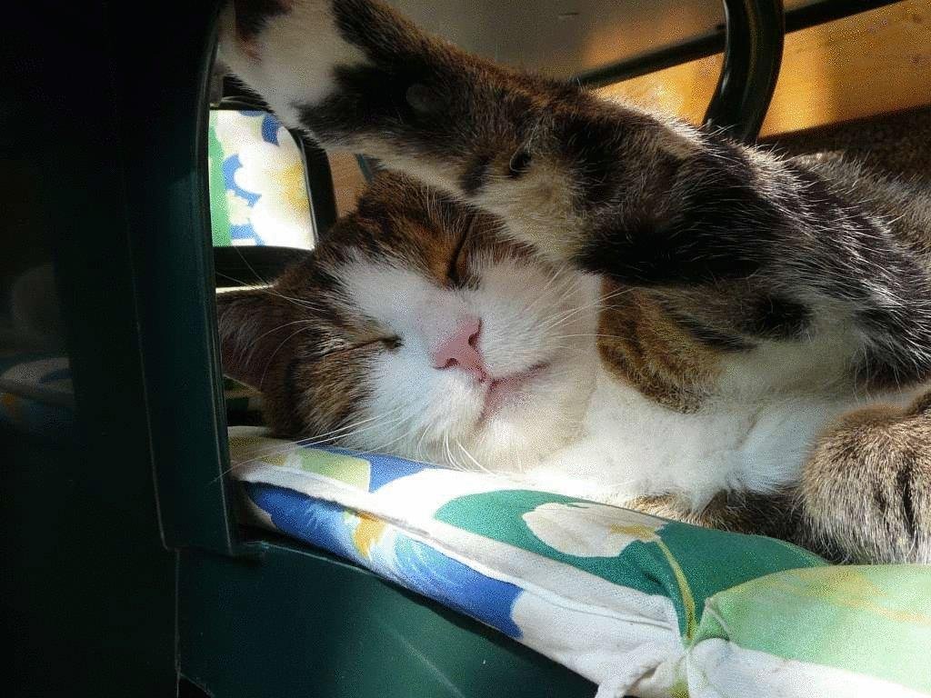 Фото Hotel Heinz