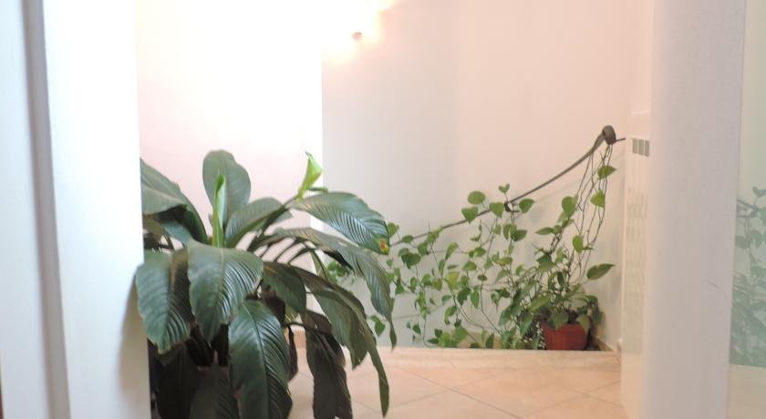 Фото Albergo Ristorante Pizzeria La Bocca di Bacco