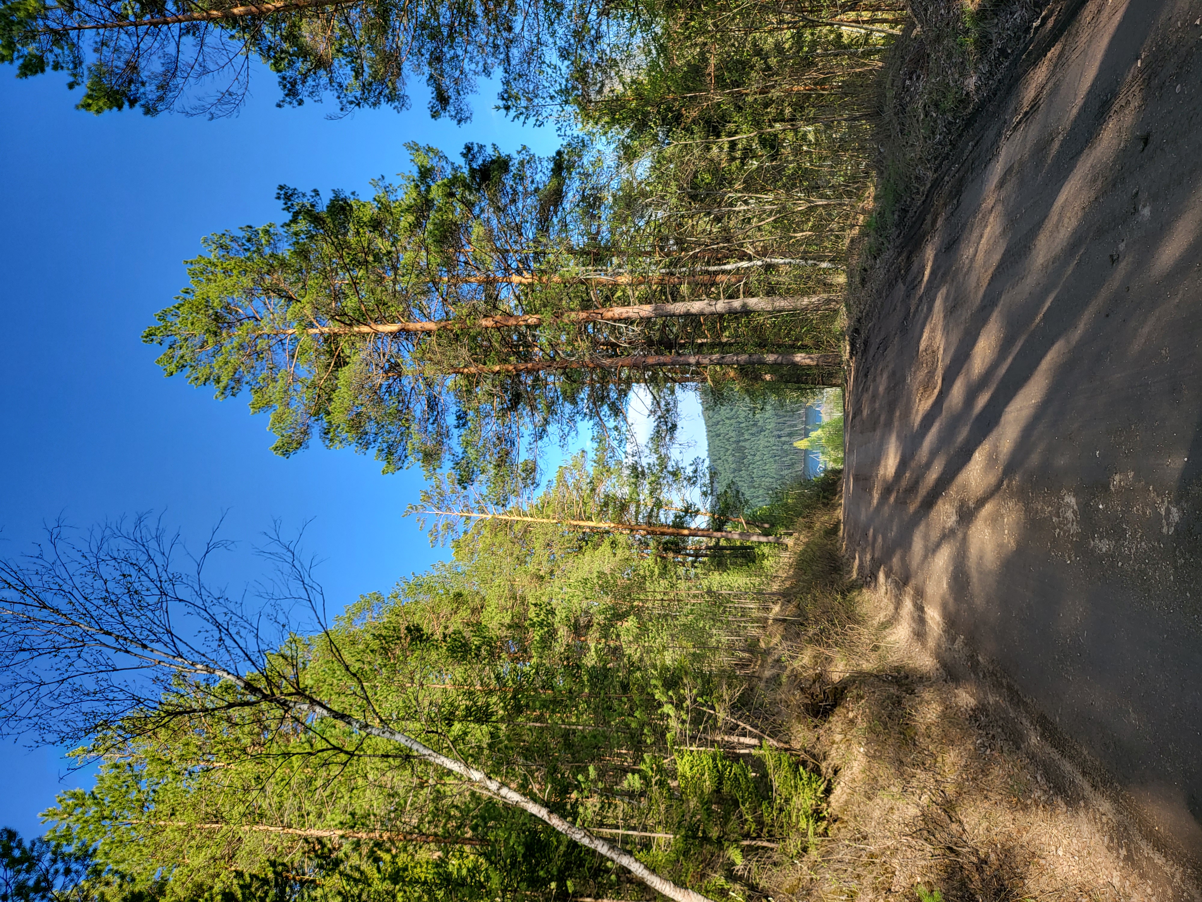 Фото Семейные истории