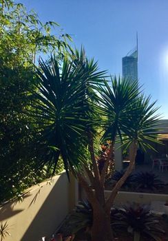 Фото Villa Roma on Capri - Gc