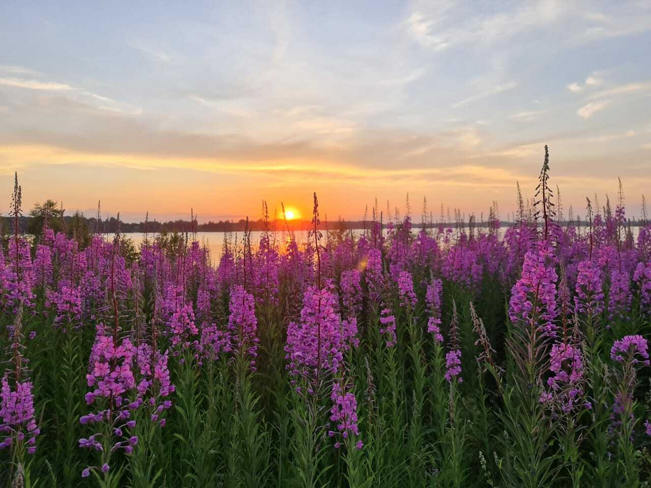 Фото Банный Остров