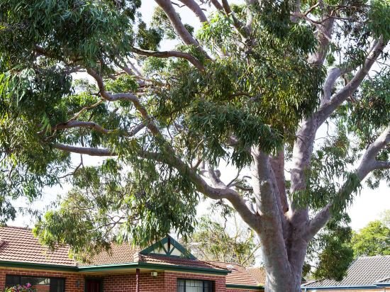 Фото Park Avenue - Forest Hill