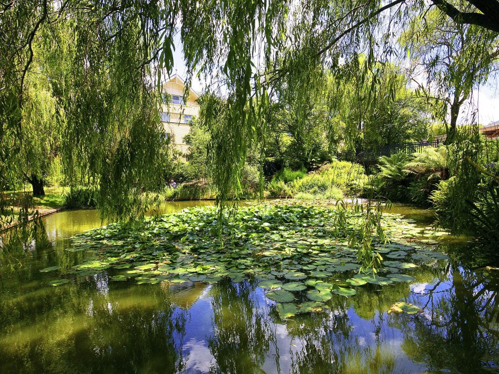 Фото Fairmont Resort & SPA Blue Mountains, MGallery by Sofitel