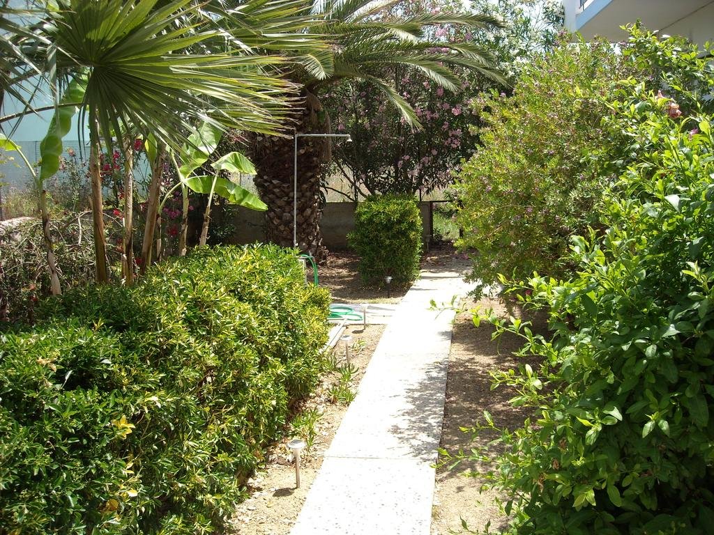 Фото 236347373094