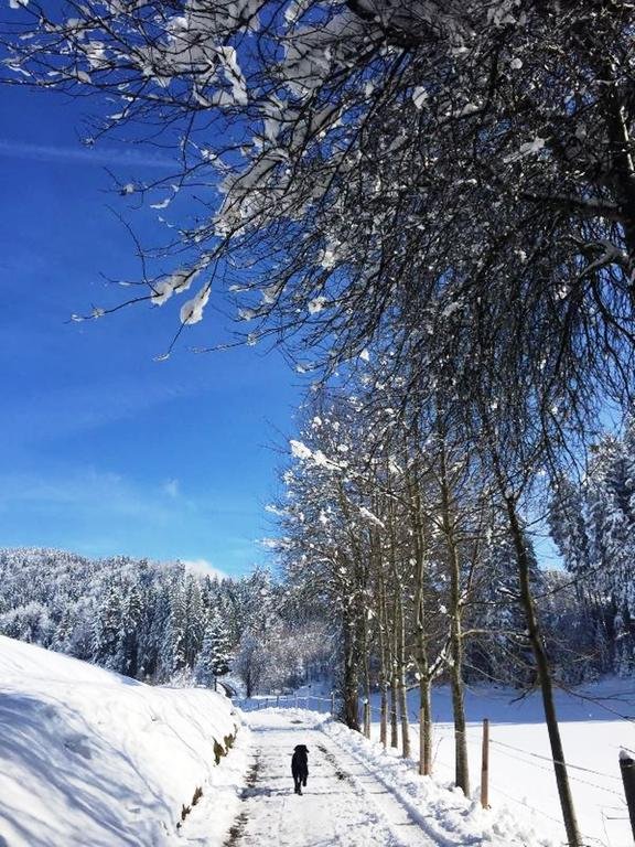 Фото Gastehaus Schmid