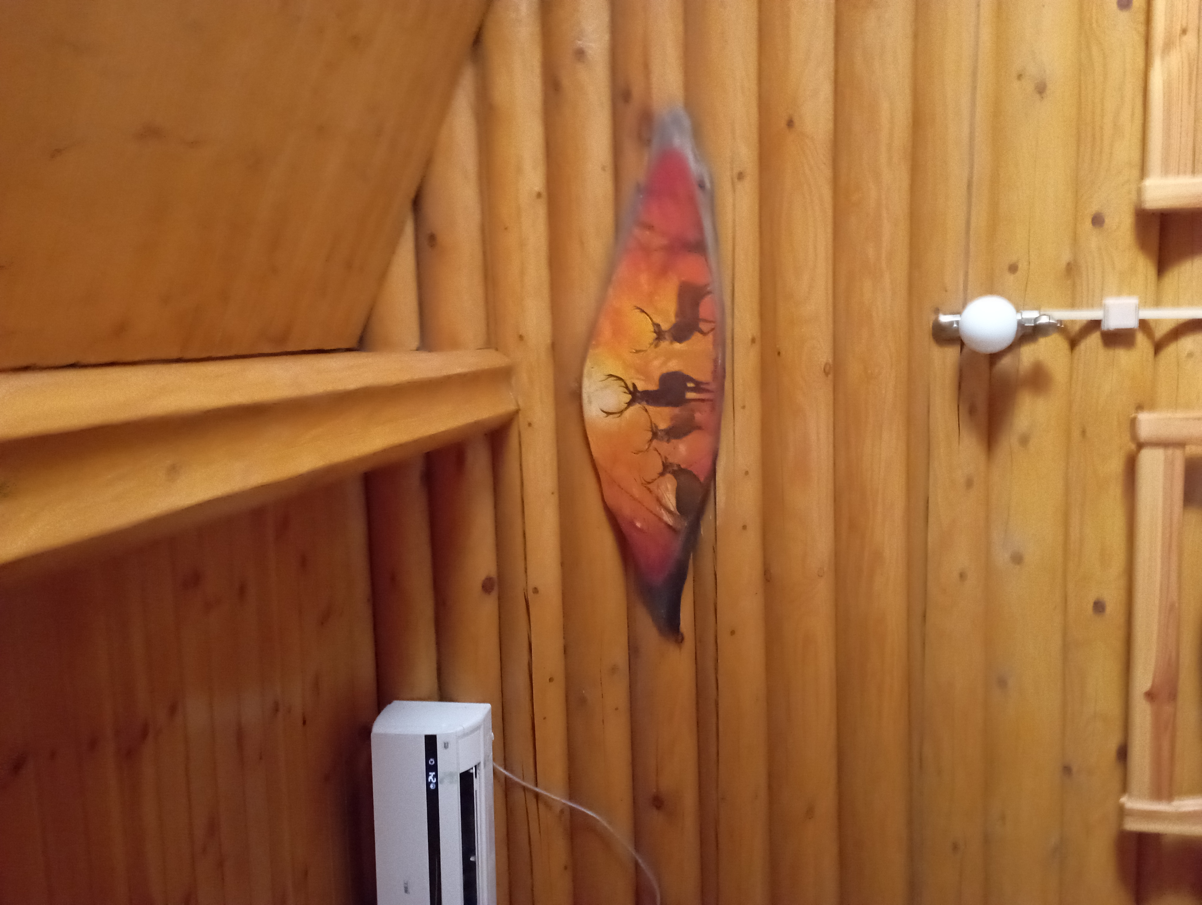 Фото Надежда