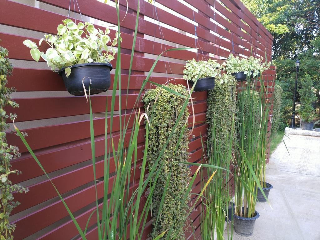 Фото Cm Garden
