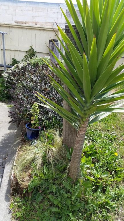 Фото Empire Hotel Backpackers