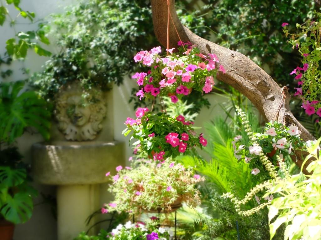 Фото B&b Umberto I