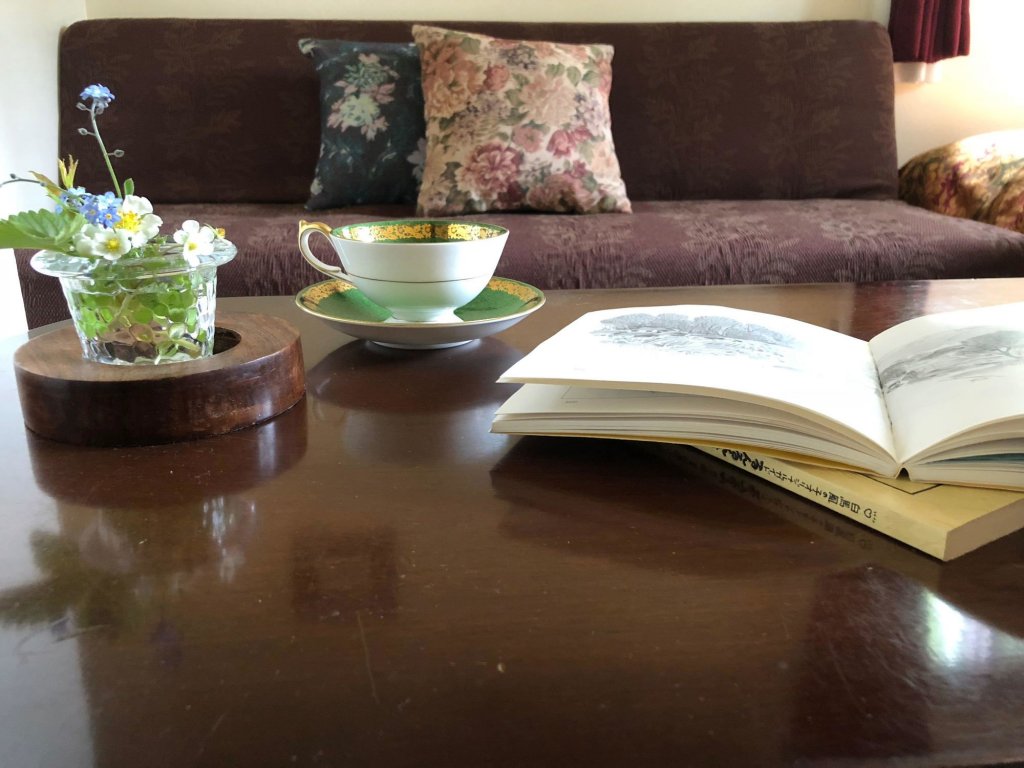 Фото Pension Vivaldi