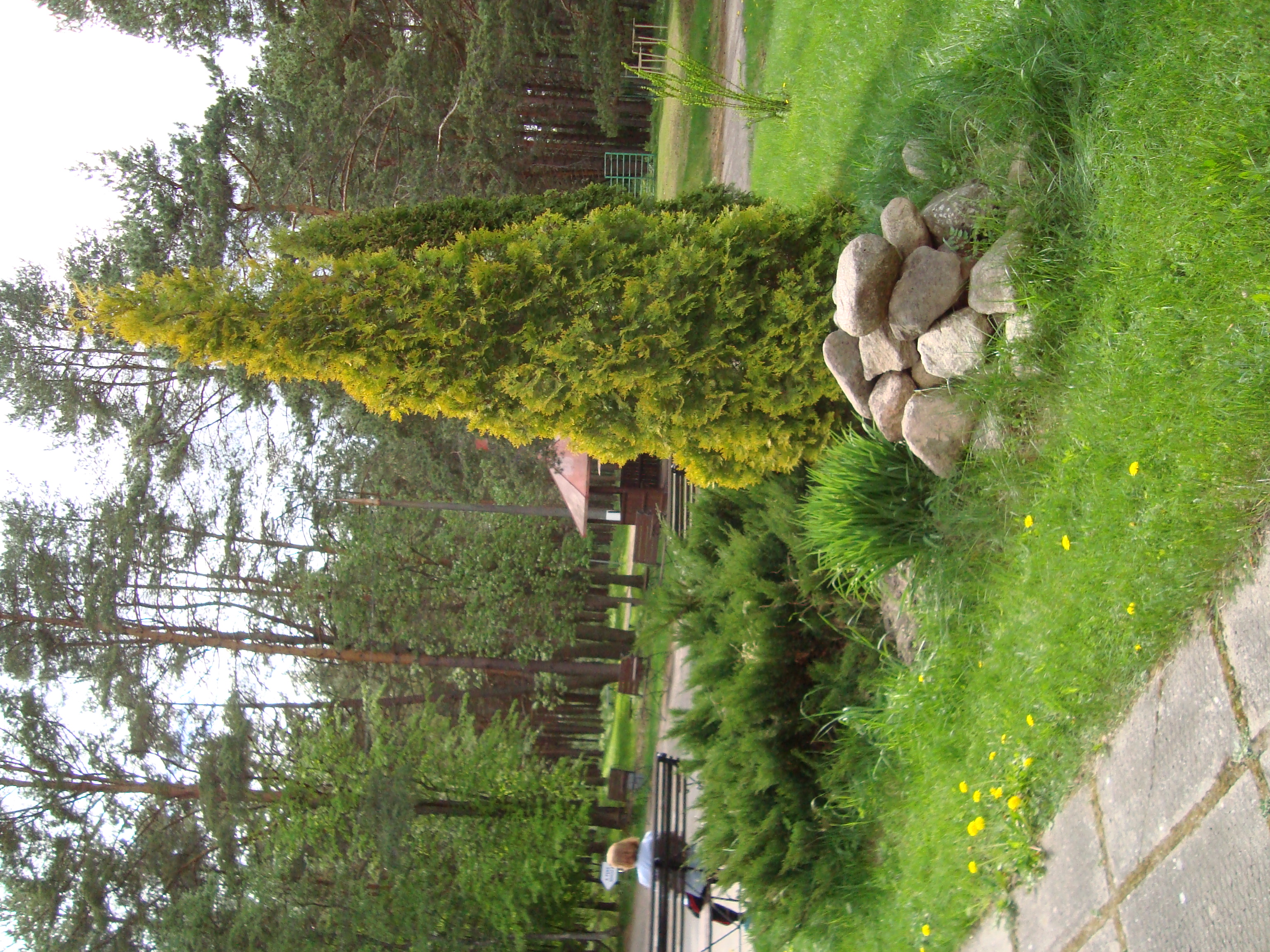 Фото Череха