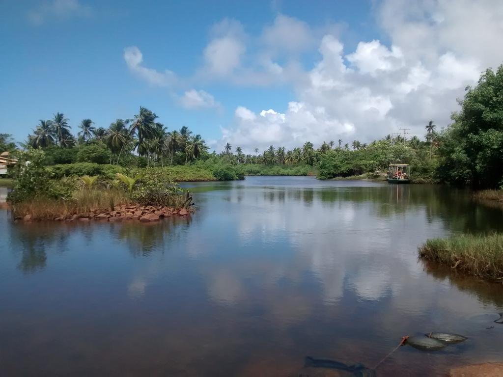 Фото Grand Palladium Imbassai Resort and SPA