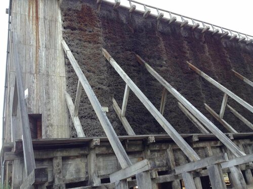 Гостиница TeoDorka Centrum Rehabilitacji i Wypoczynku в Куявско-Поморском воеводстве