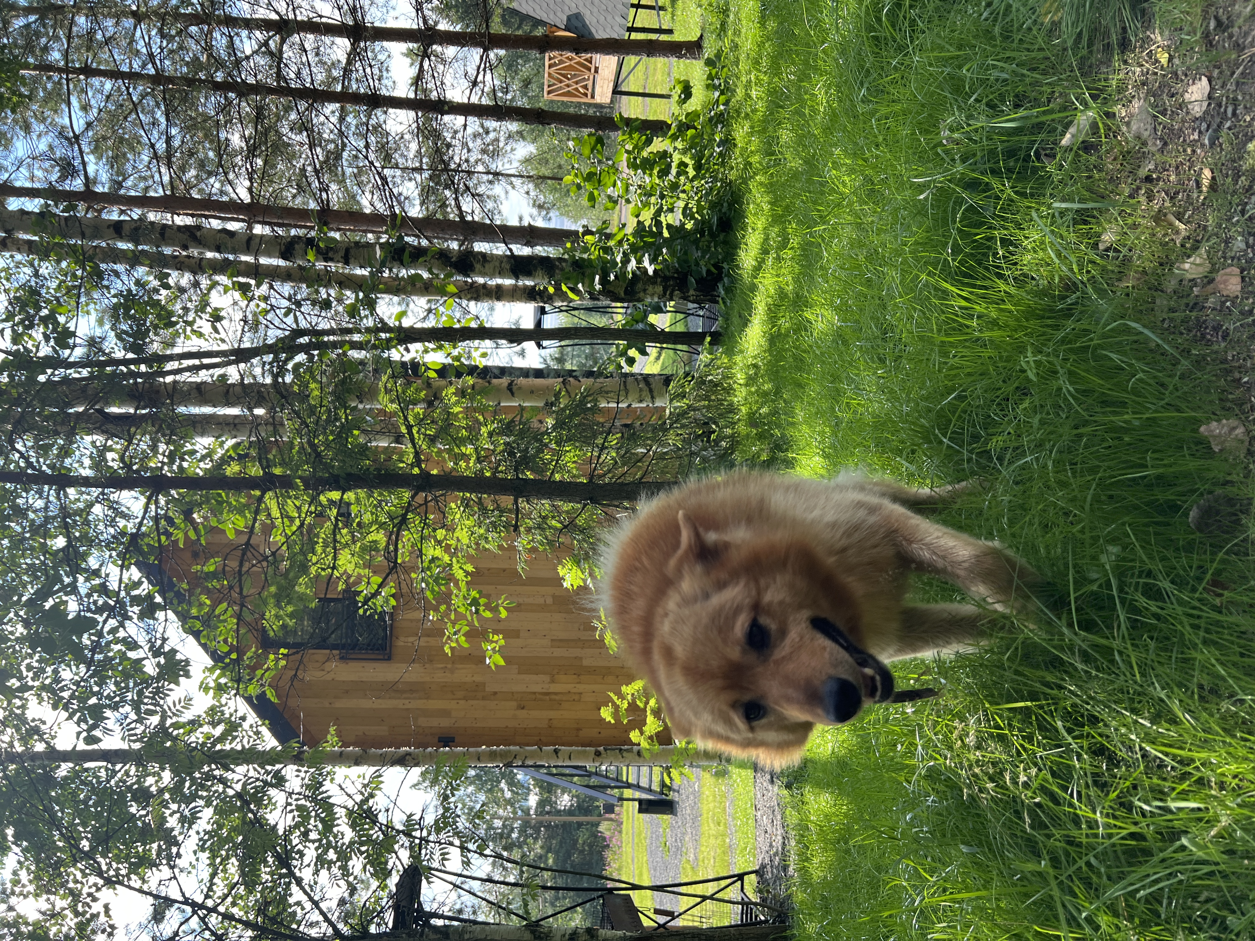 Фото Aldi Karelia