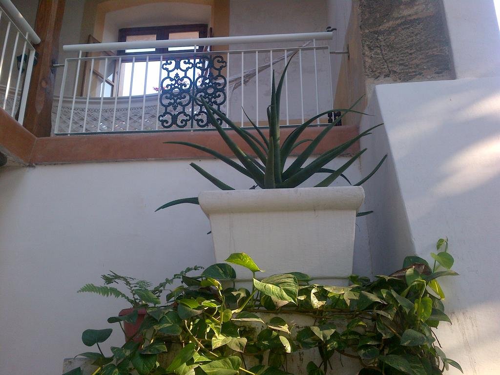 Фото Jardim dos Aloés - Unique B&b