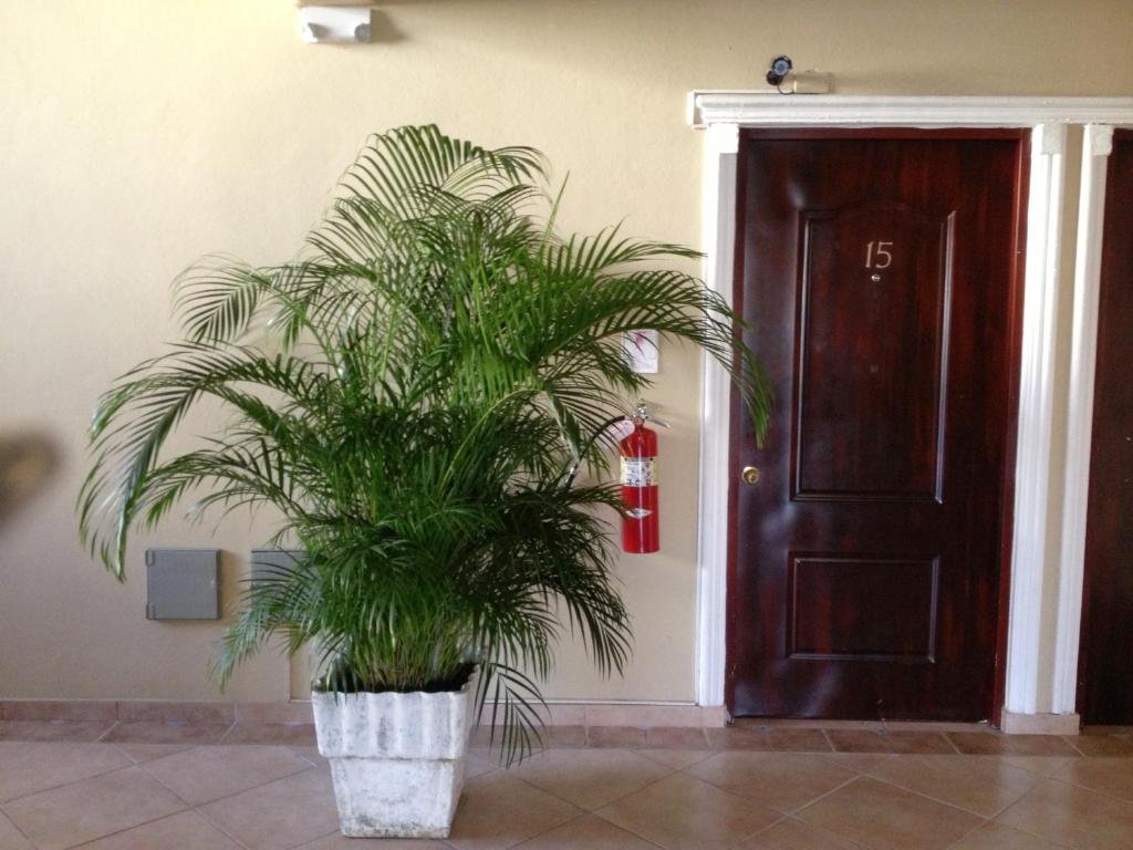 Фото Apartahotel Residencial Alvear