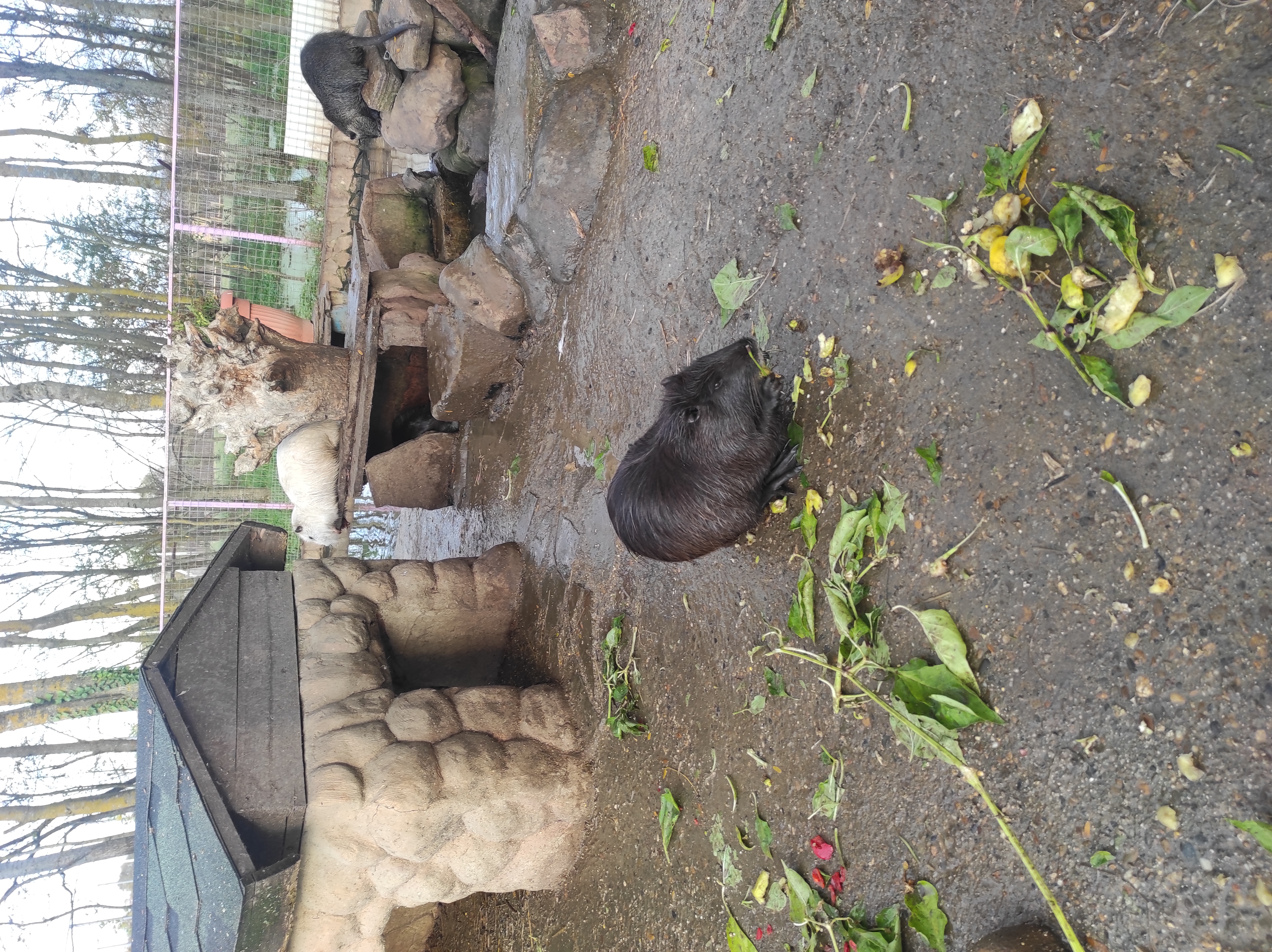 Фото Villa Tsarina