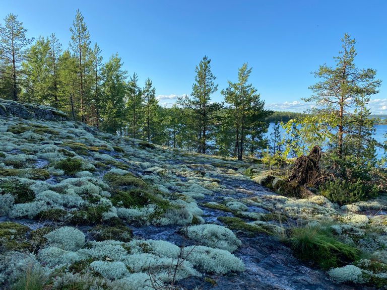 Фото Кильполансаари