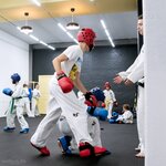 Тхэквон-до МФТ (selo Yamnoye, Sportivnaya ulitsa, 24), sports club