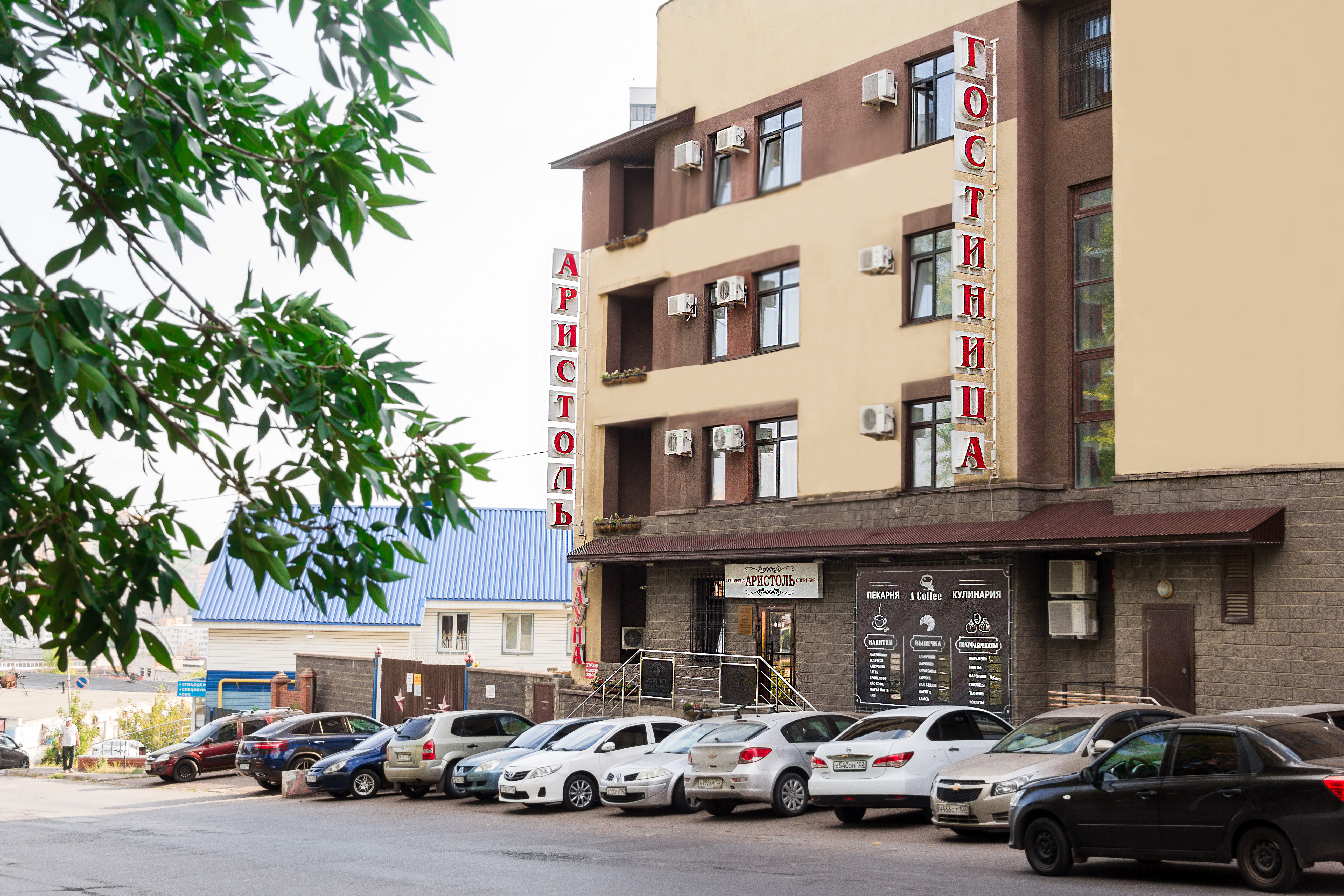 Фото Аристоль