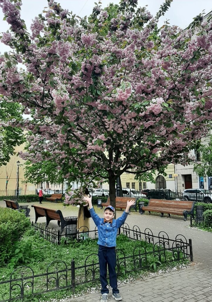 Парк культуры и отдыха Подковыровский сад, Санкт‑Петербург, фото
