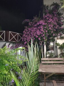 Гостевой Дом Макс