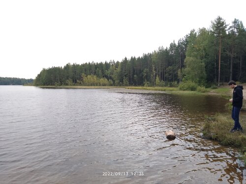 Рыбалка на Сарженском озере в Ленинградской области