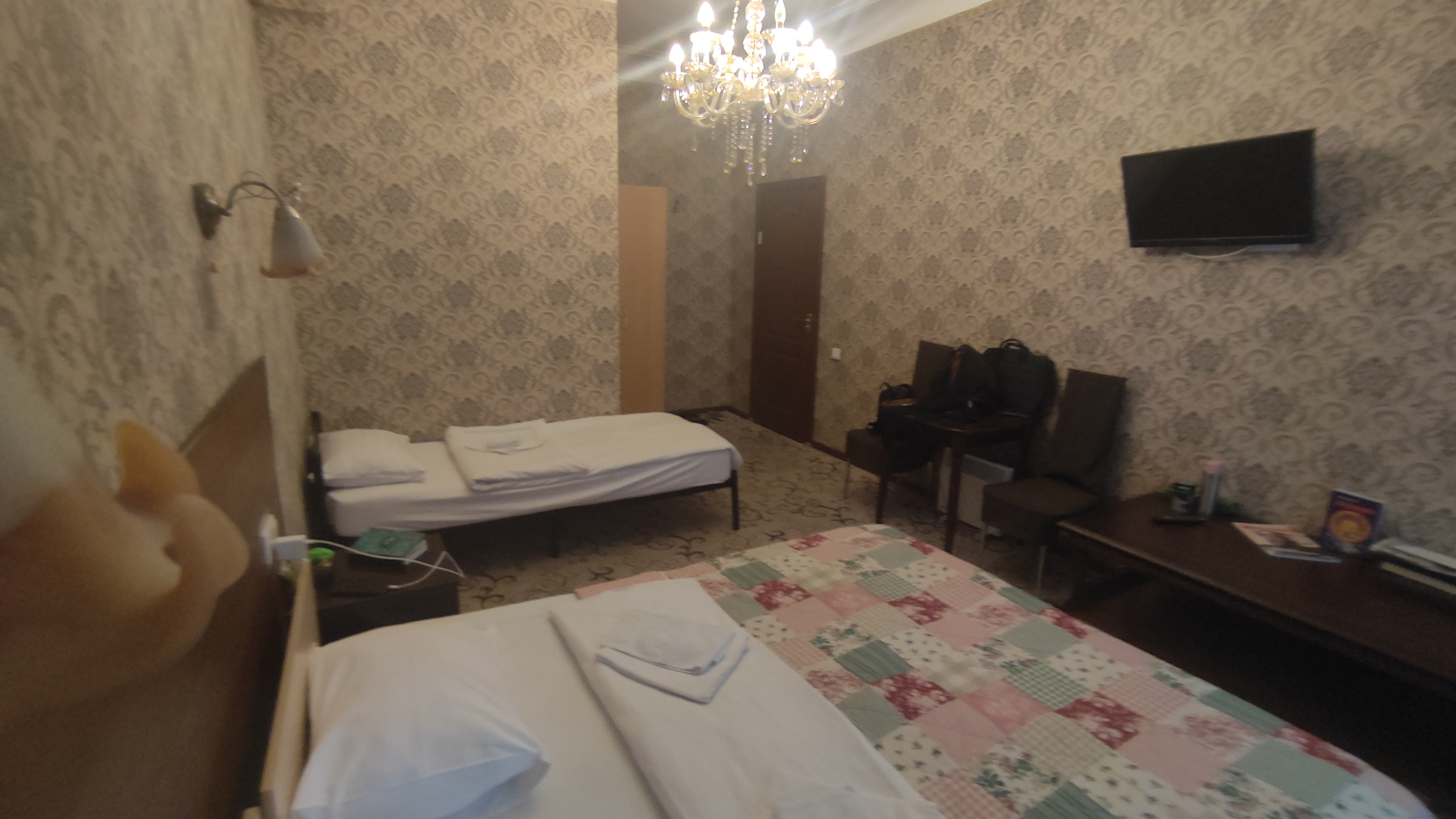 Фото Старый кот