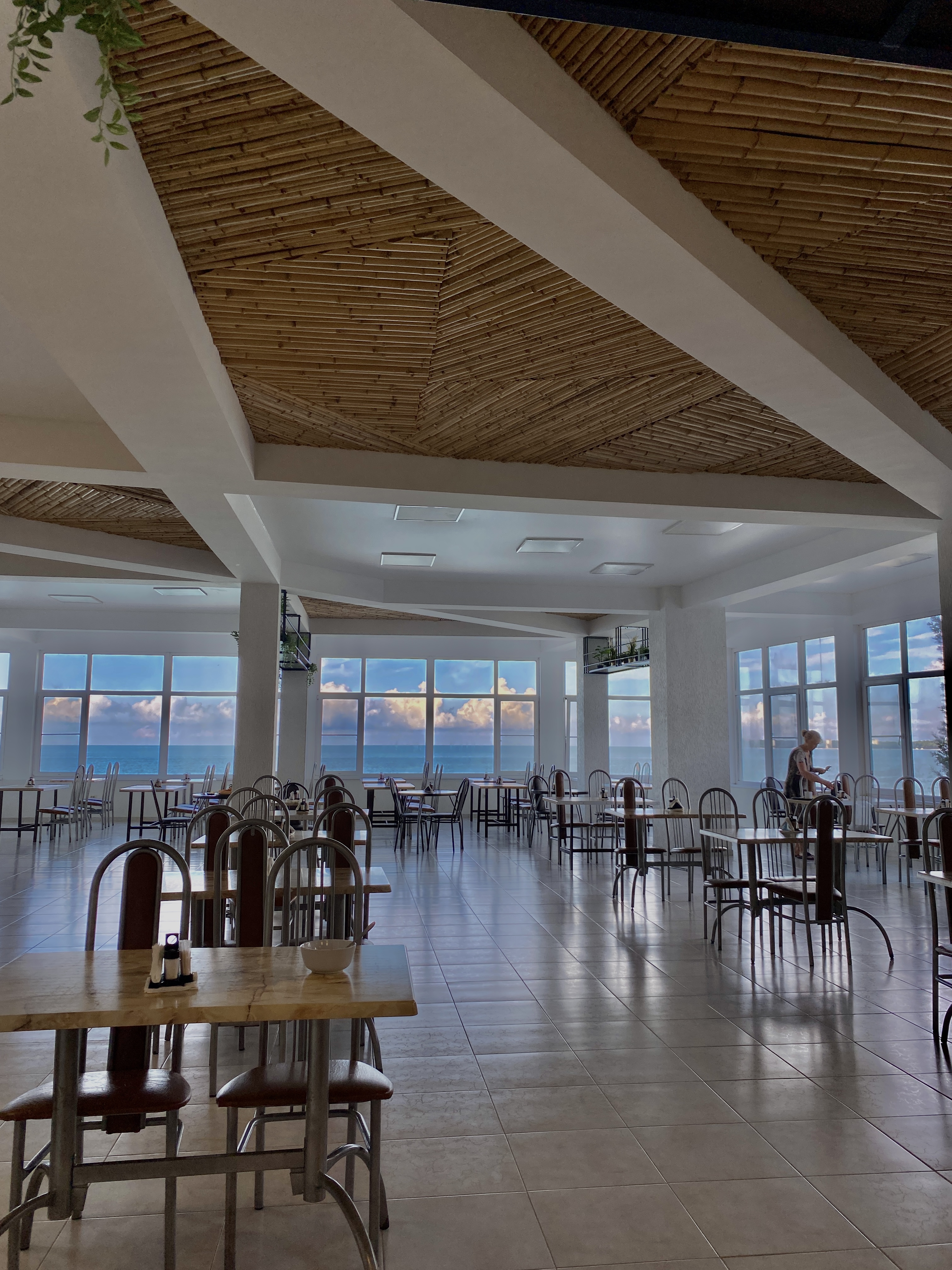 Фото Арбика