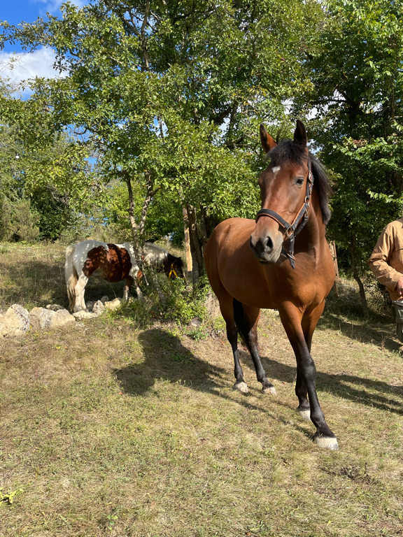 Фото Солнечное озеро