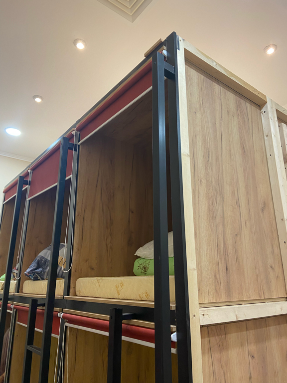 Фото Вежливый лось на Дмитровской