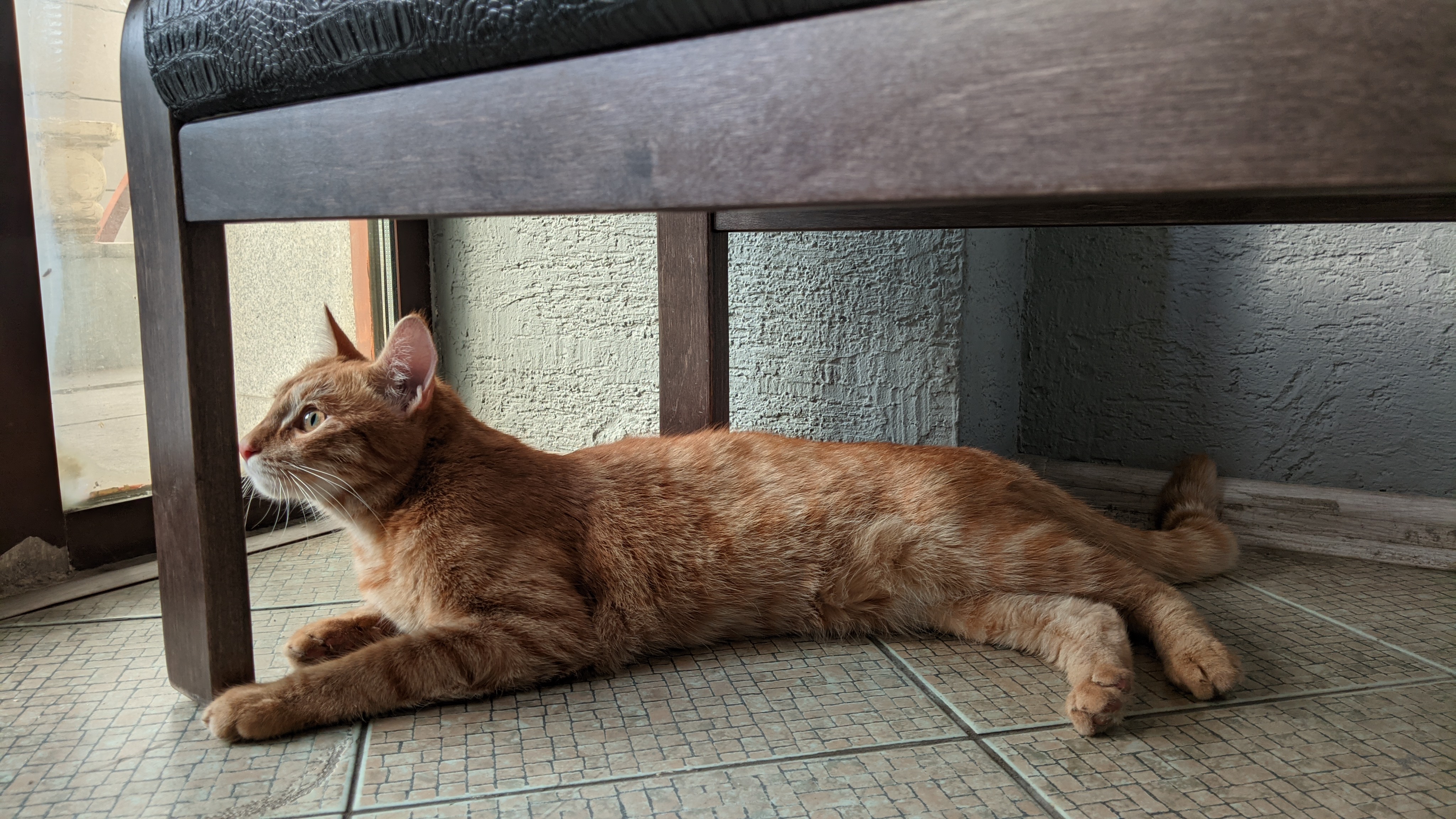 Фото В гостях у бабуsи