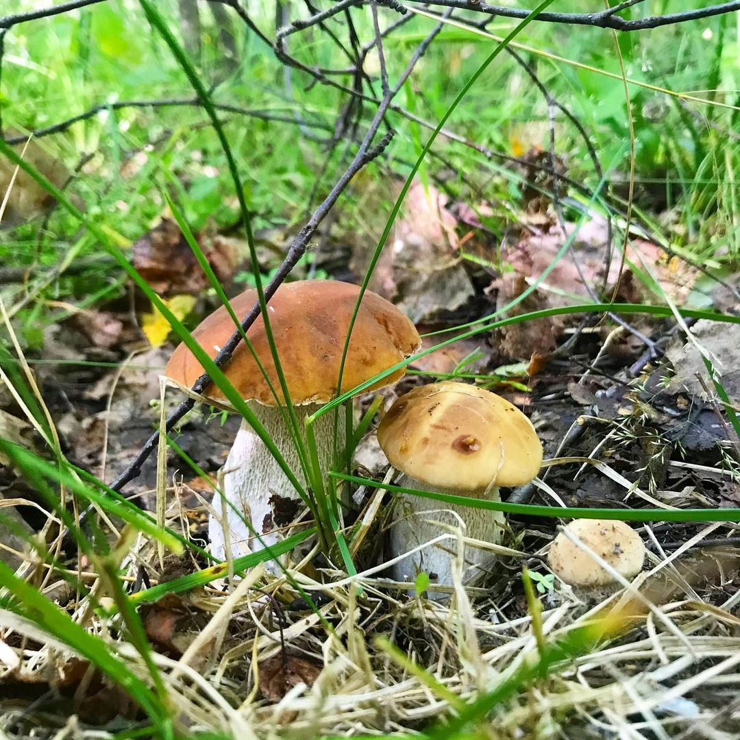 Фото Юркинский мыс