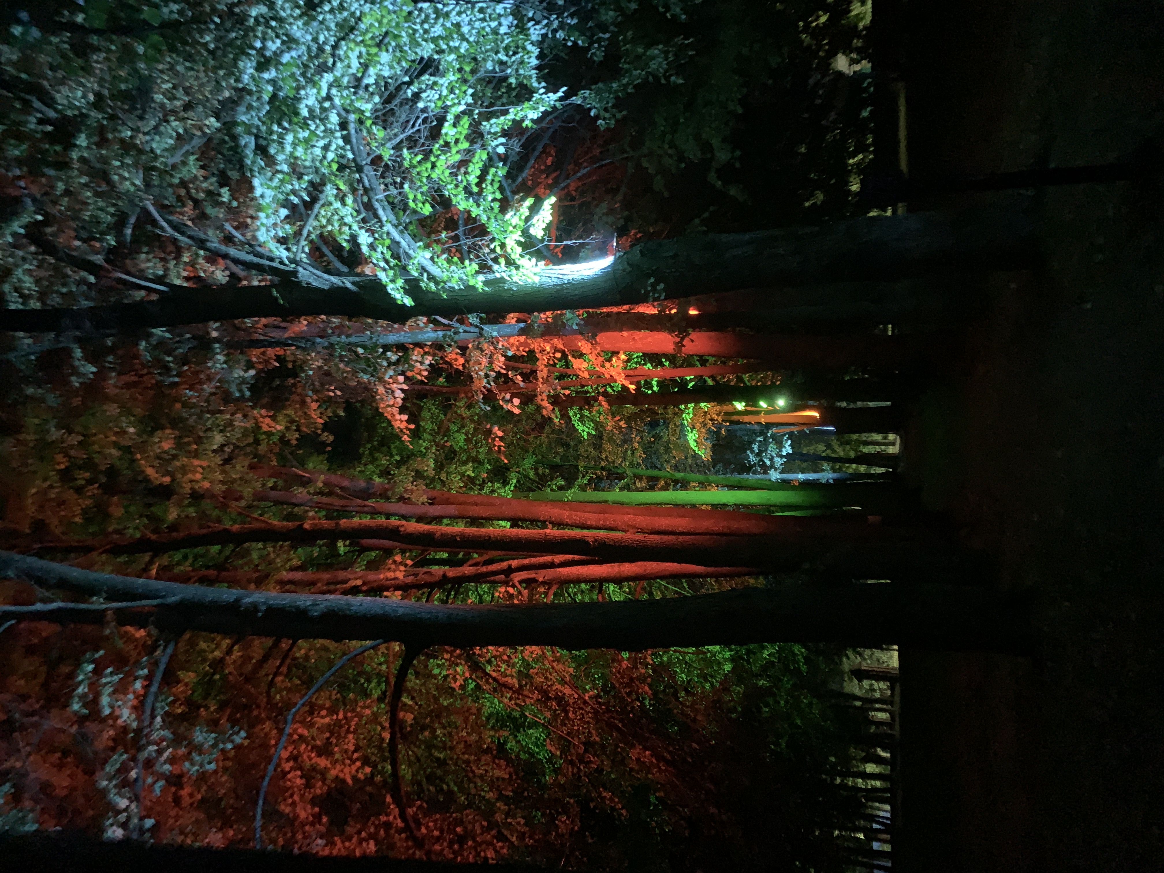 Фото Дом творчества имени Д. Н. Кардовского