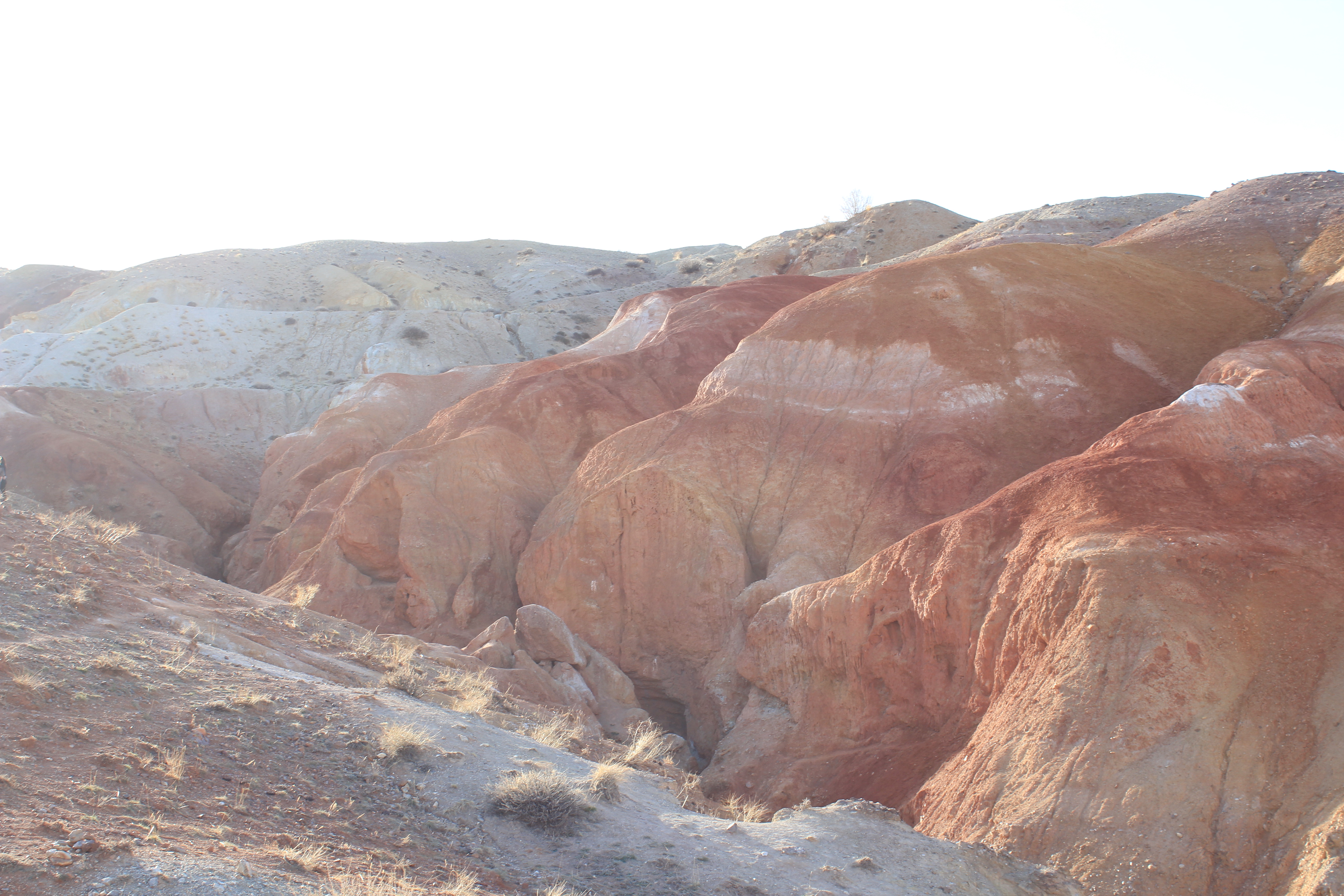 Фото Горный орел