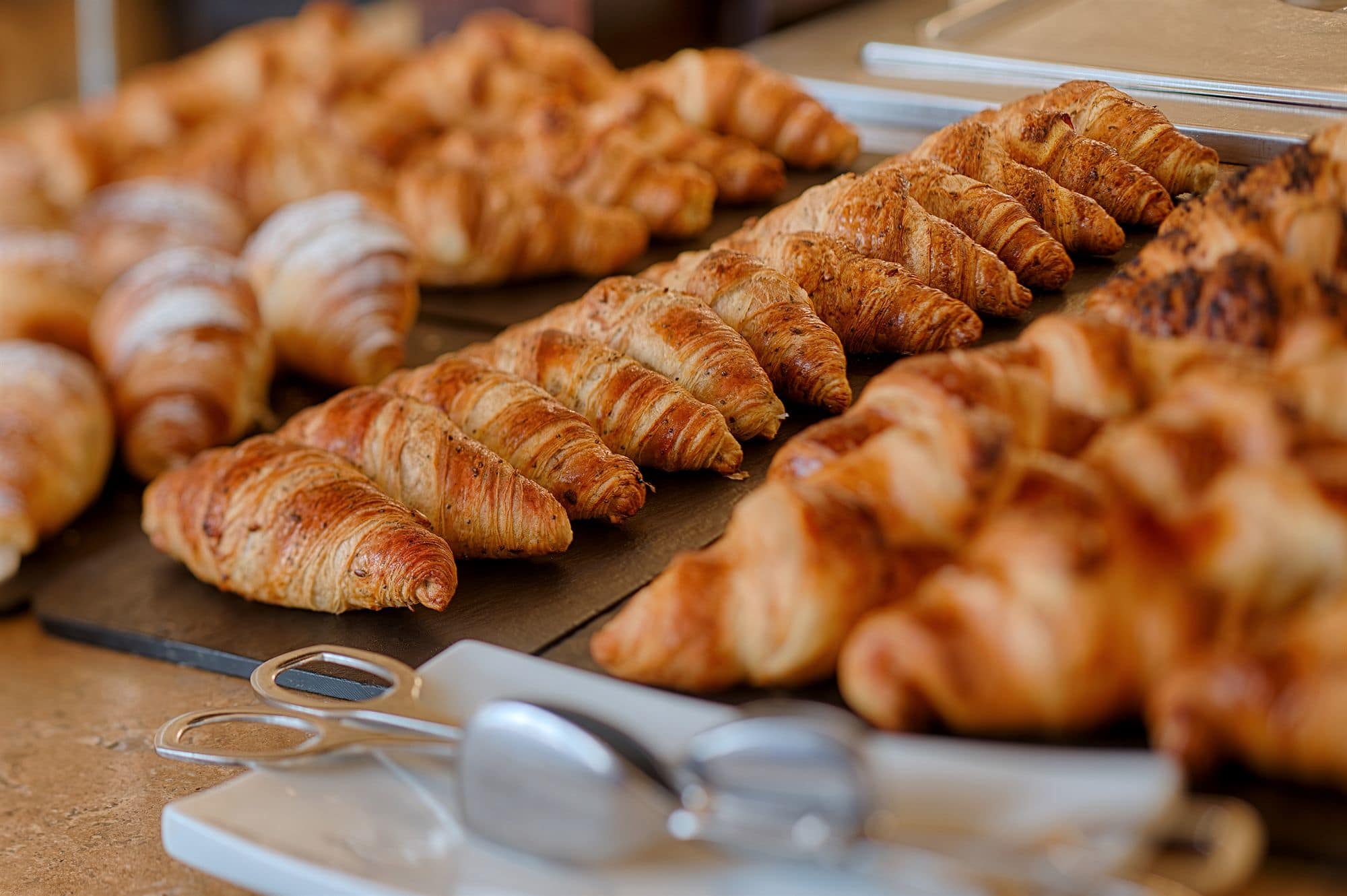 Фото NH Lecco Pontevecchio