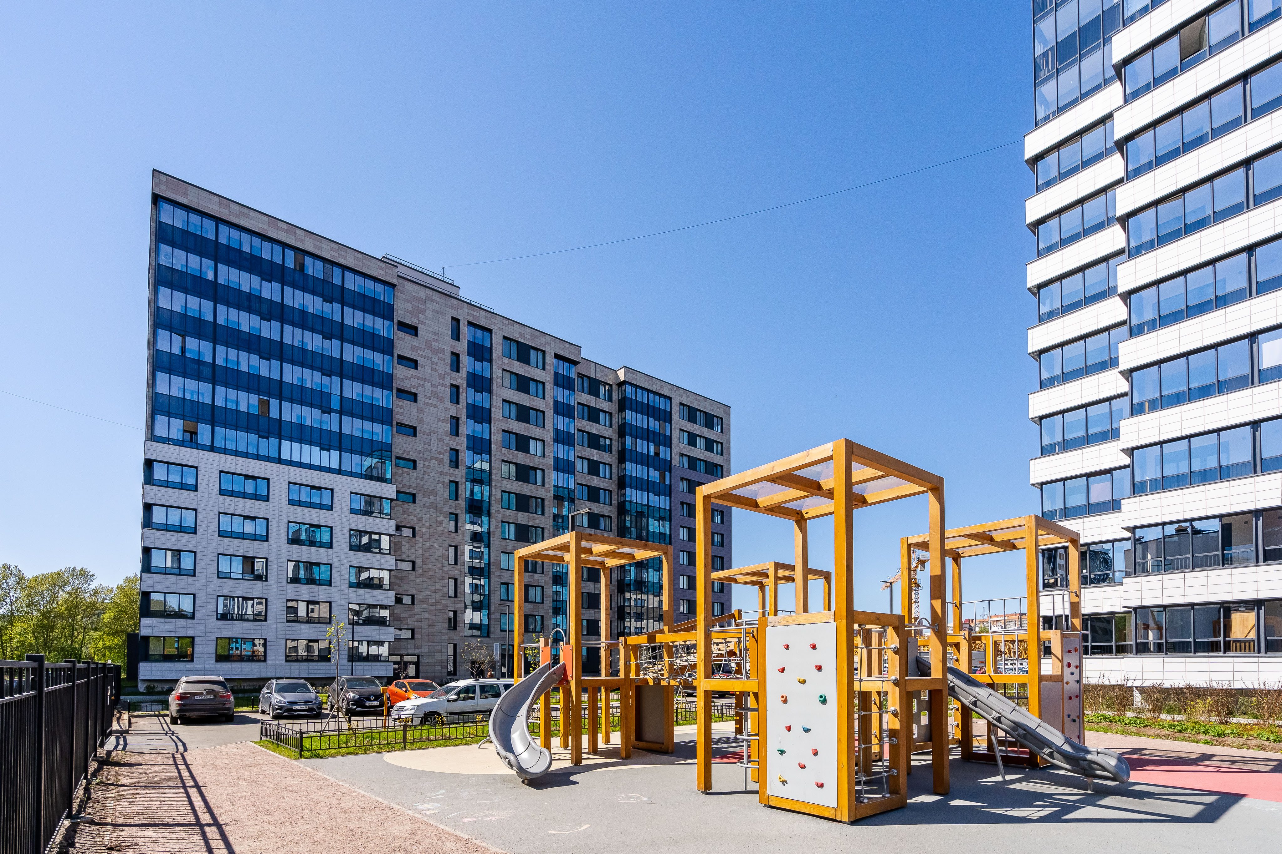 Фото Абрикосовое дерево на Старой деревне