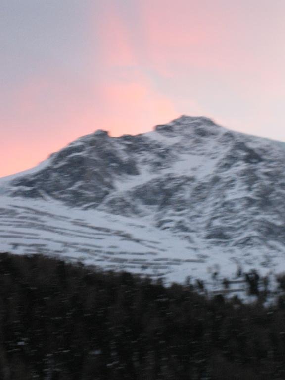 Фото Residence Flora