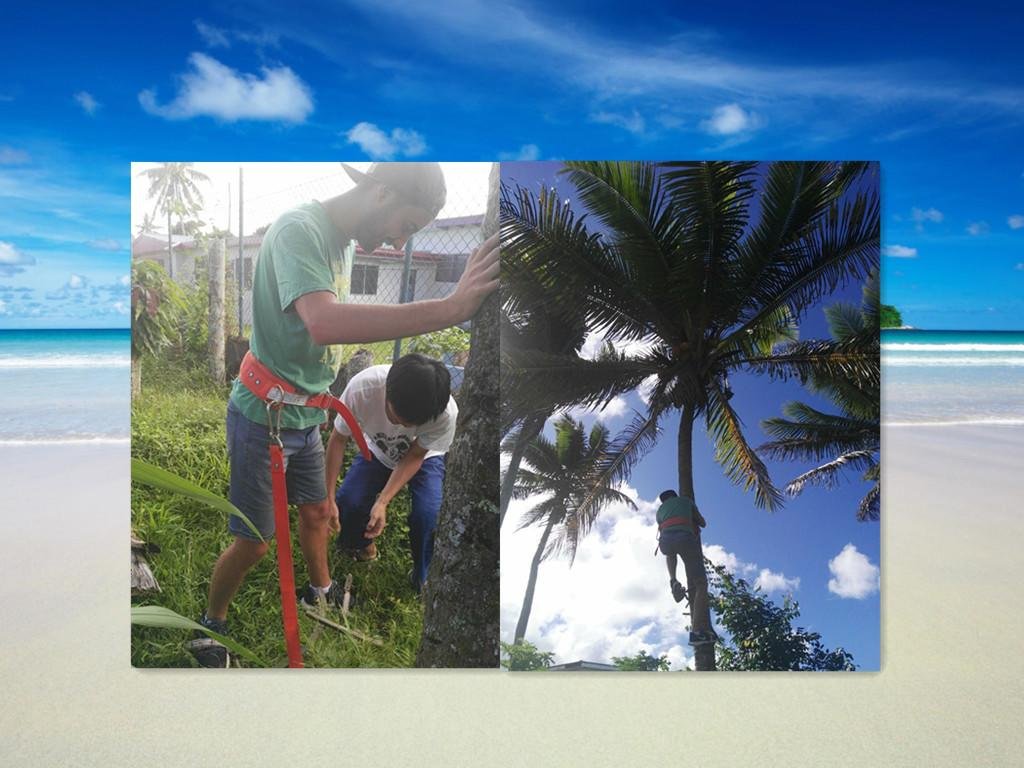 Фото Dreams Homestay