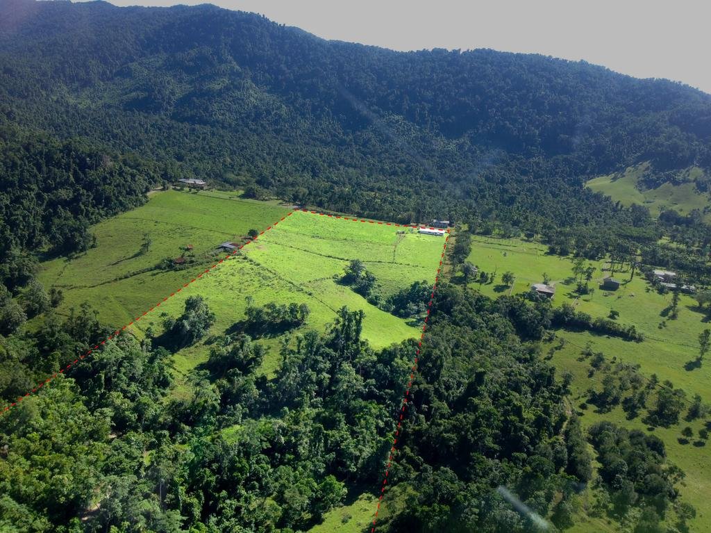 Фото Misty Mountains Rainforest Retreat