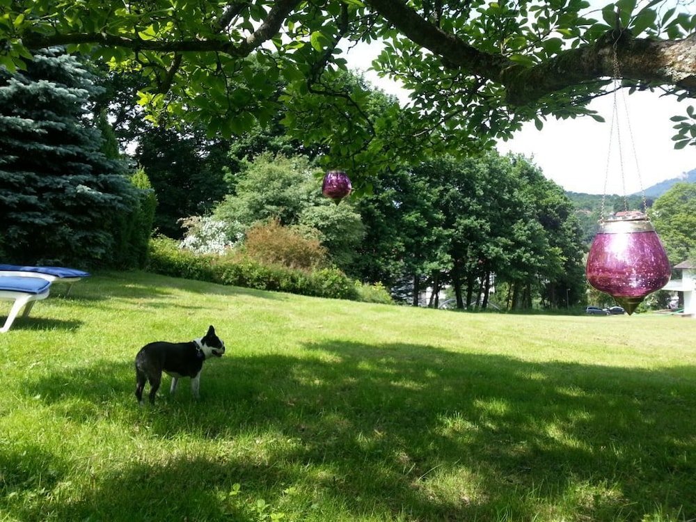 Фото Hotel Tannenhof