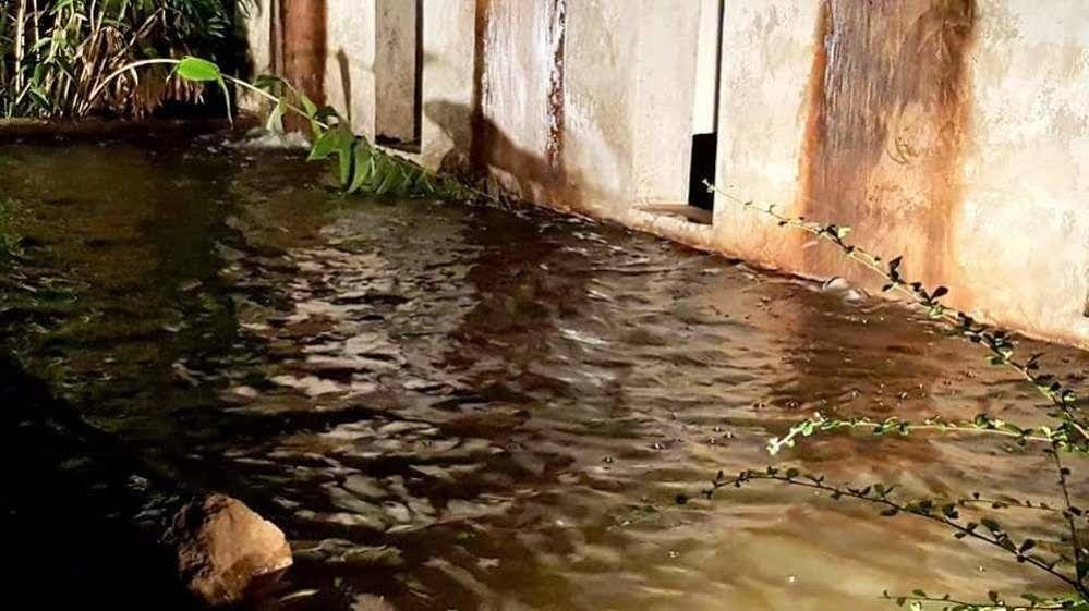 Фото Baan Saun Him Doi Resort