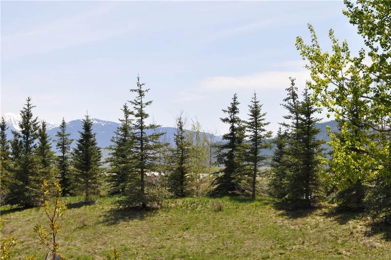 Фото Moose Creek by Jhrl