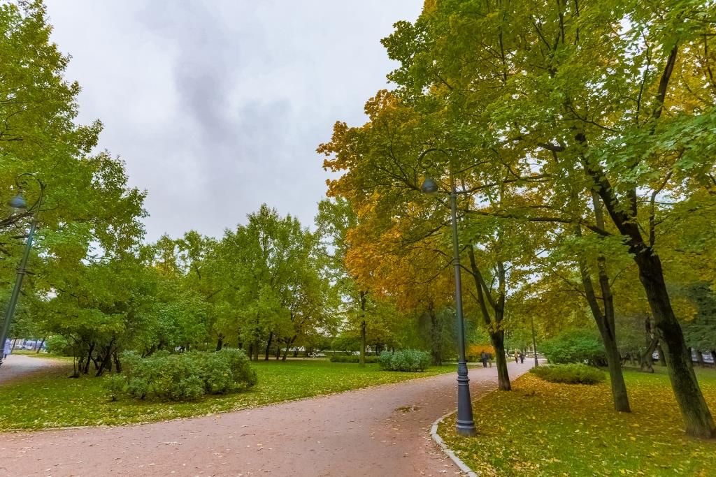 Фото Элис Syncotel