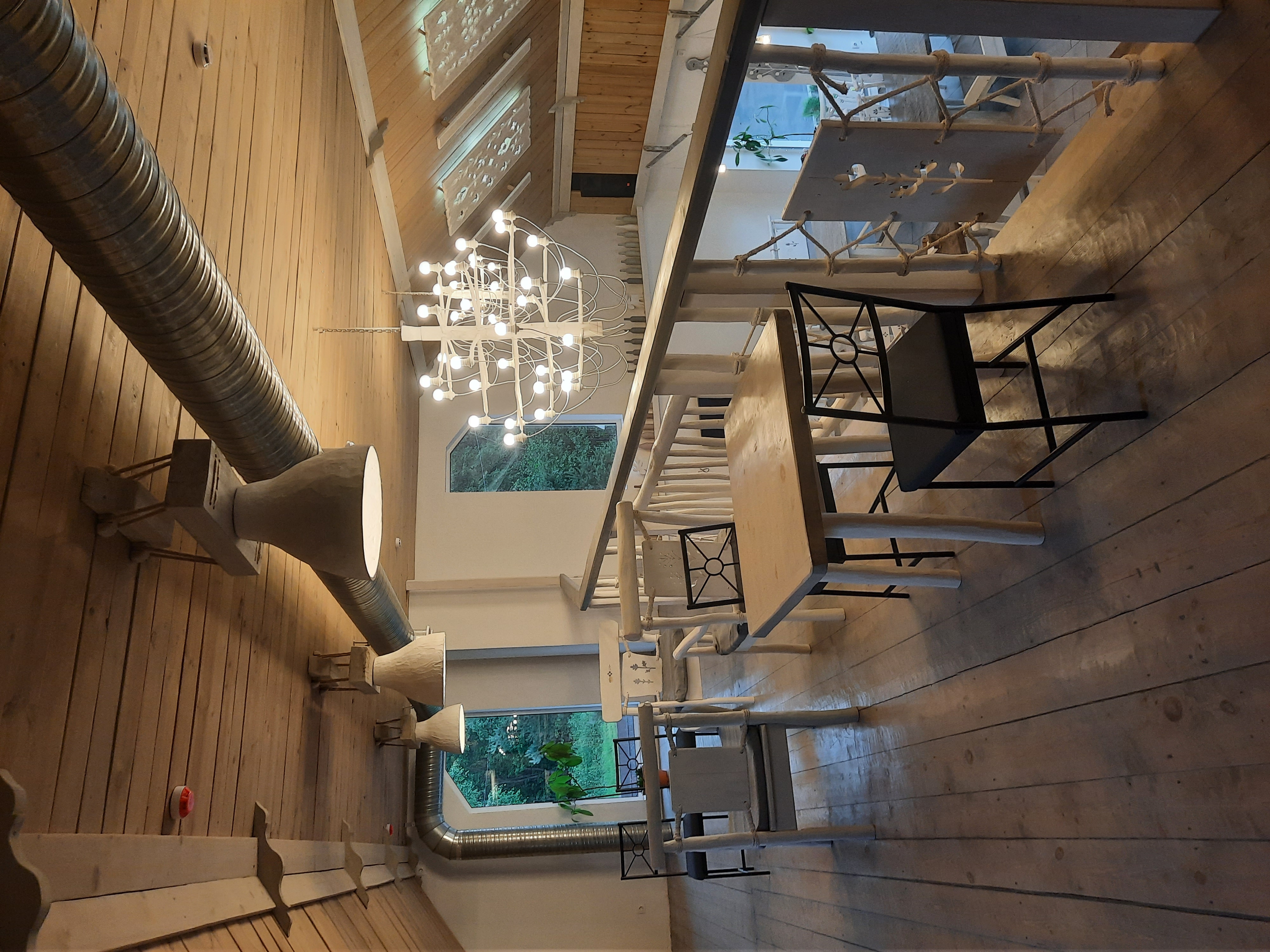 Фото Лосьпробежал