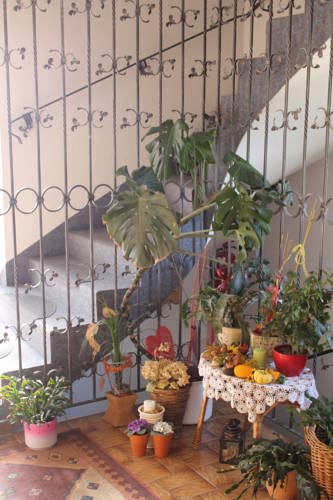 Фото Garni Fischer