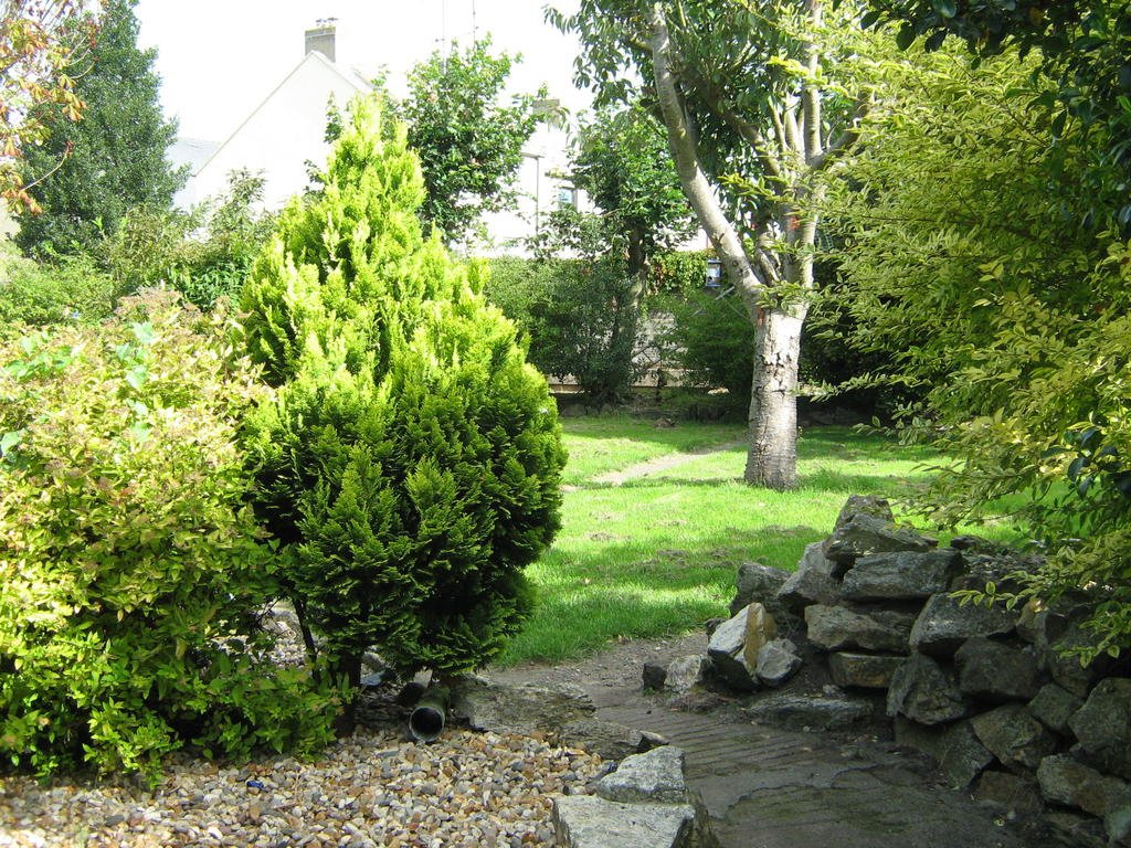 Фото Saint John's B&b