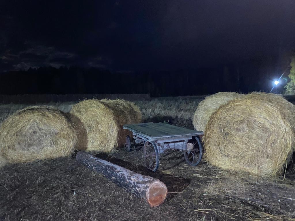 Фото Изумрудная поляна дачи