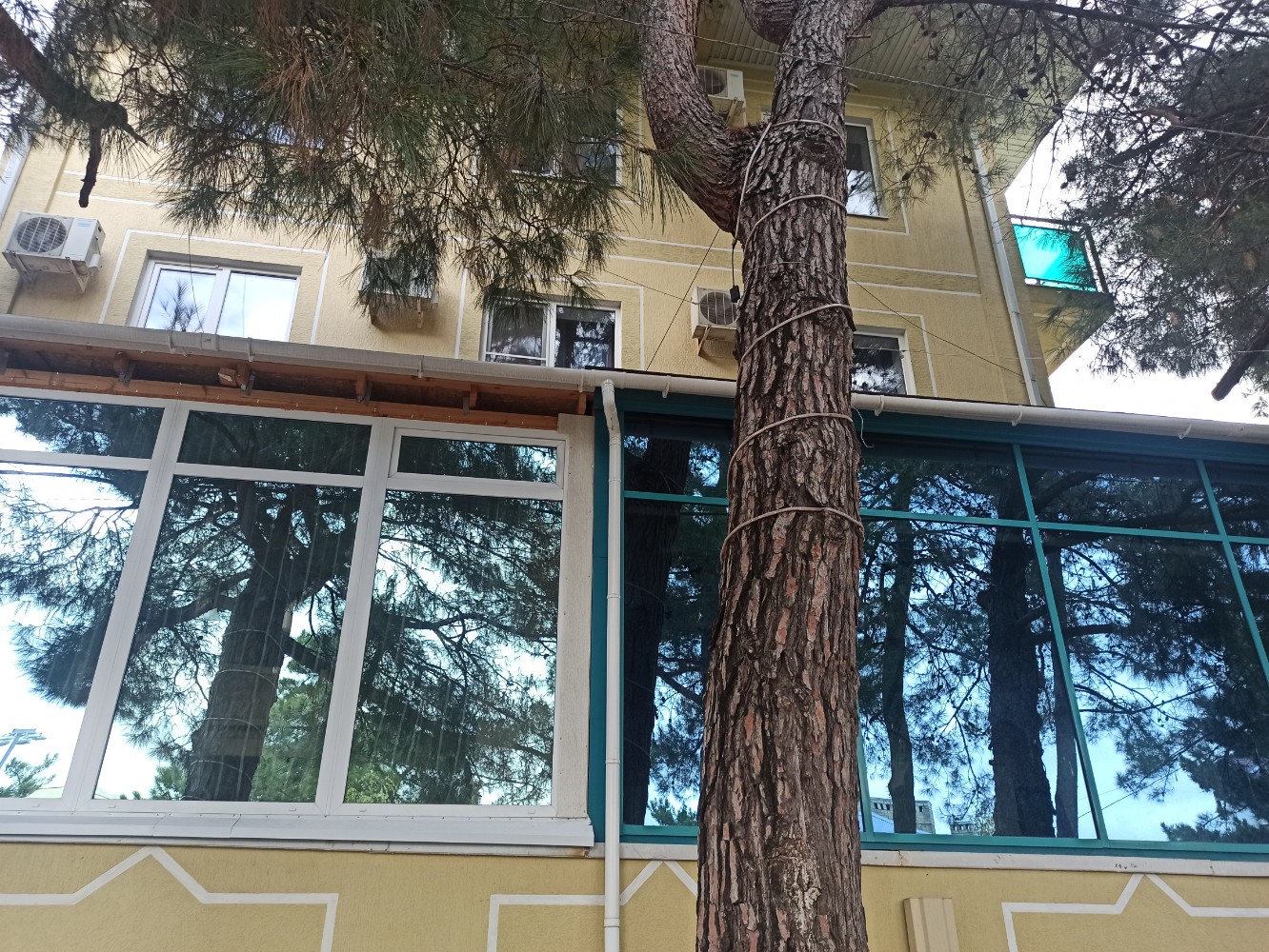 Фото Малахит