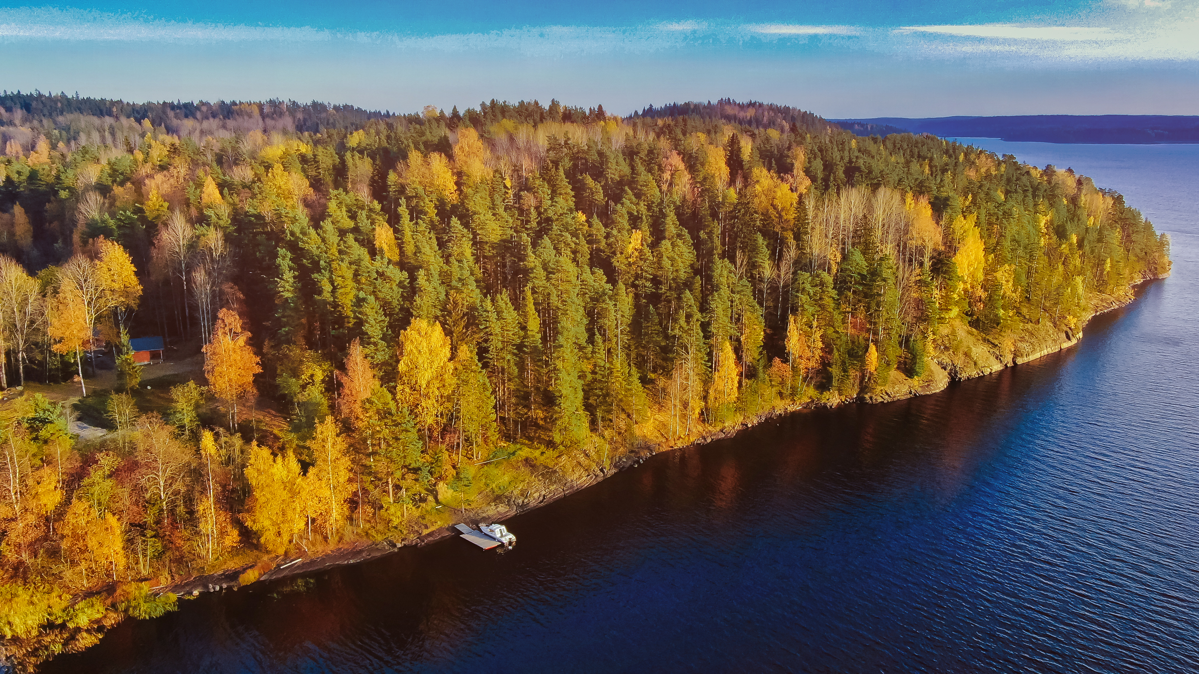 Фото Forest Park